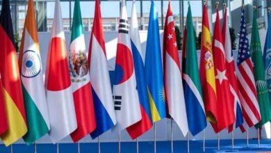 G-20 Nations In Kashmir